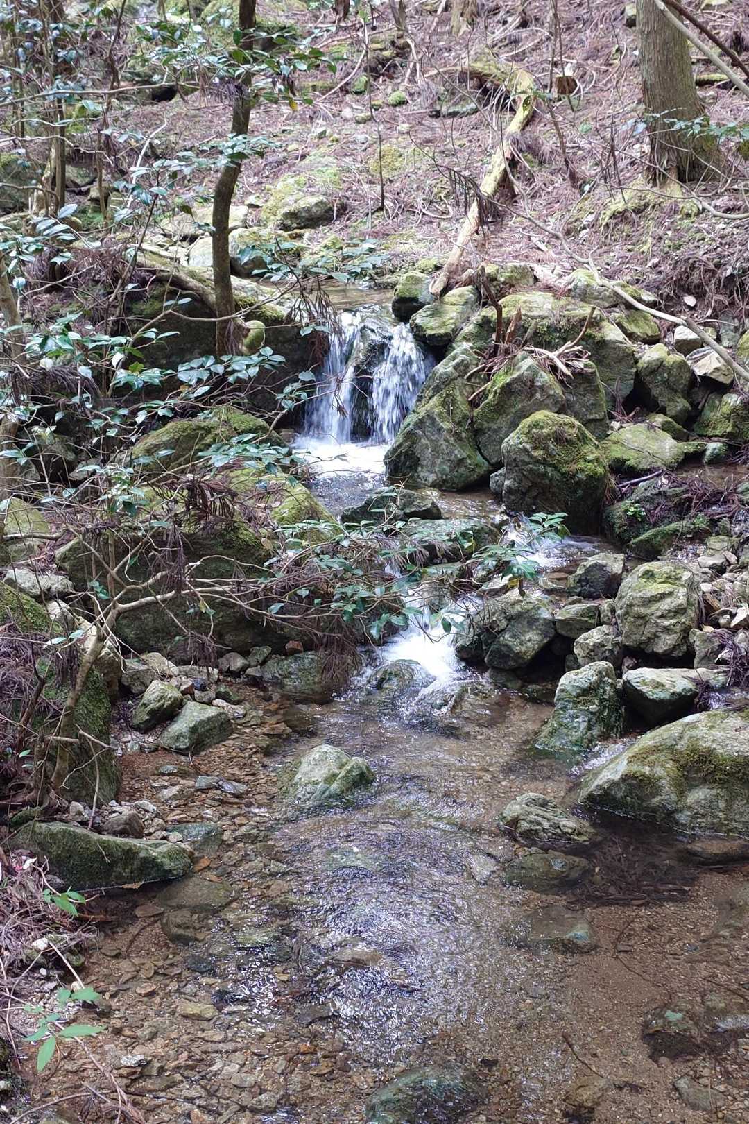 舩谷山-深山 周回コースの写真