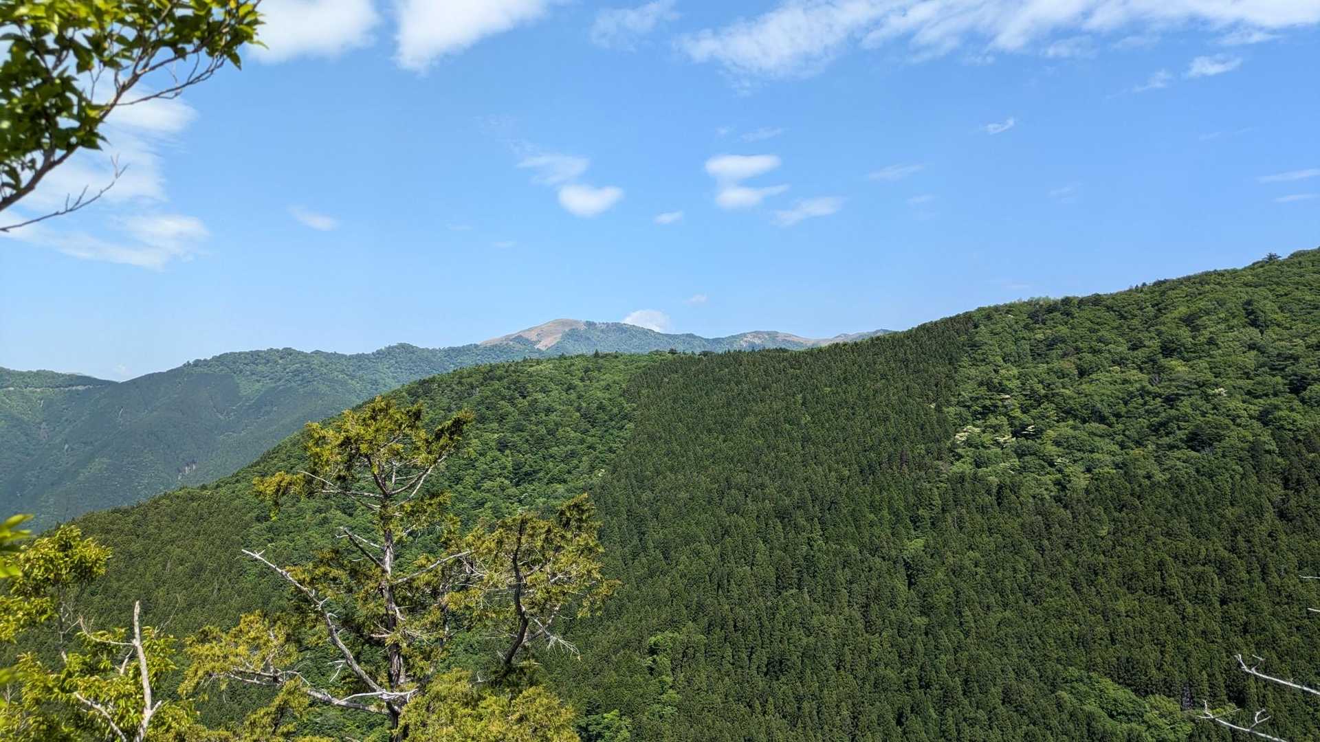 景色が開けて少し元気になる