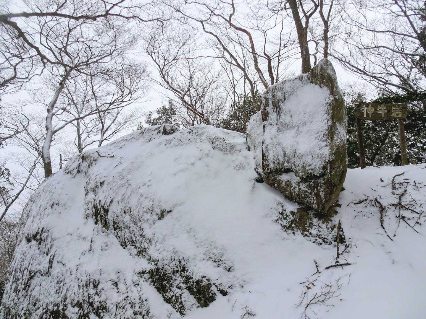 冬季限定
ホルスタインカラーの神牛岩🐮