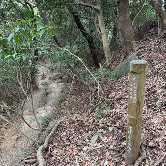 羊腸の道
（羊の腸のように、細く激しく曲がりくねっている山道のこと）