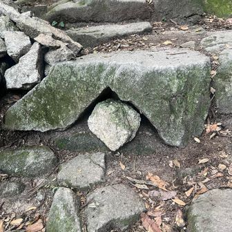 鏡餅がなくなってる😭