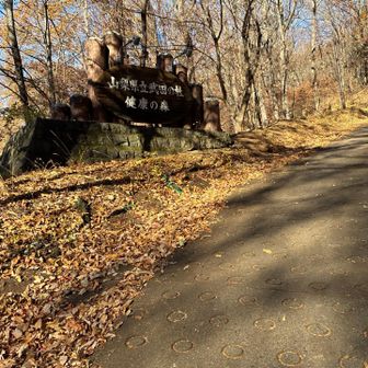 武田の杜の健康の森にお邪魔します！