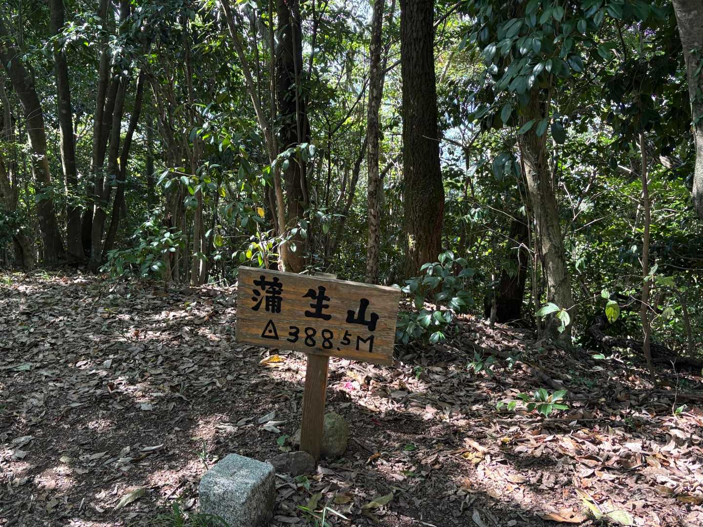 山の頂上は展望なし