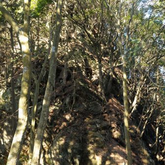 特にこの崖みたいな所とかね…