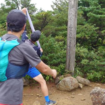 撮影を邪魔する赤パンのヒト😂