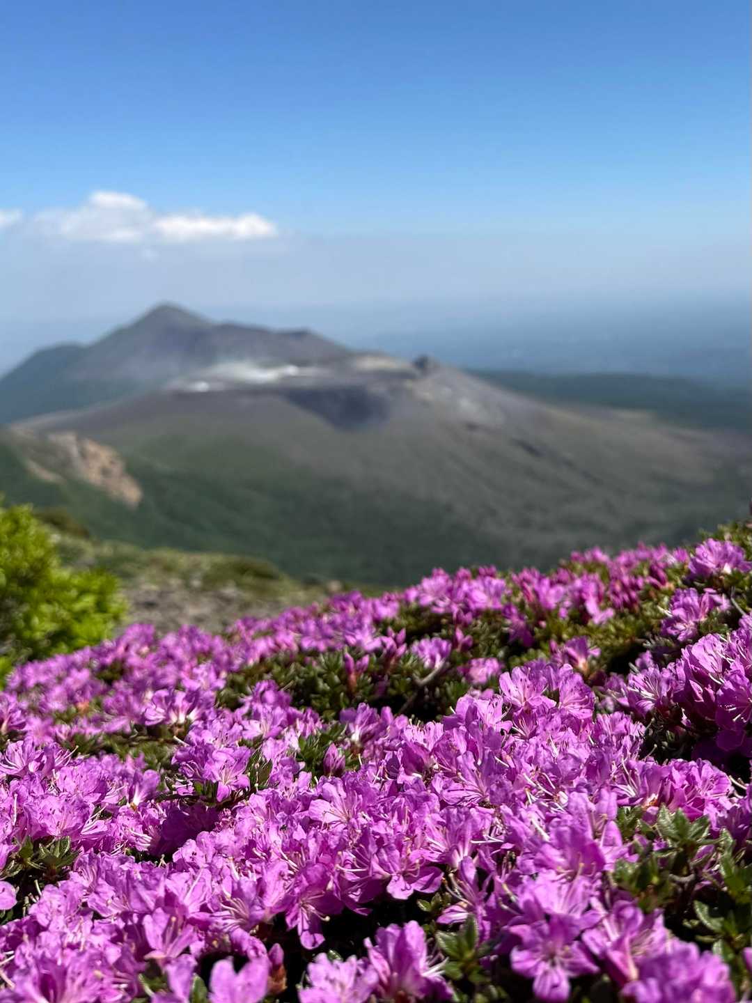 韓国岳（霧島山）🌺霧島神宮 / chiyuの登山データ | YAMAP / ヤマップ