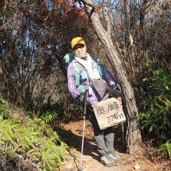 腹ごしらえ後直ぐの所

奥ノ峰　標識13
