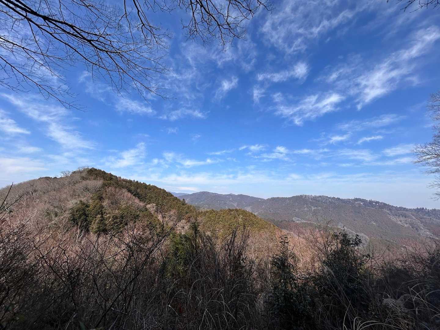 榎窪山-三沢峠-泰光寺山-西山峠-中沢山-中沢峠-大洞山 往復コースの写真