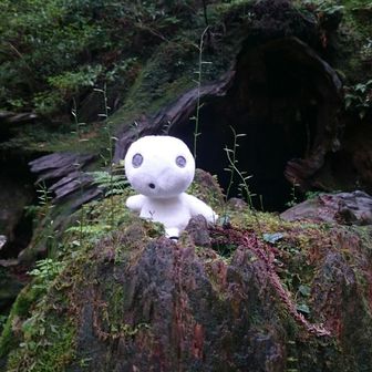 真夜中の腕立て伏せ