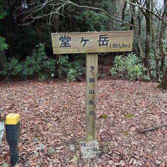 堂ヶ岳⛰️山頂に到着