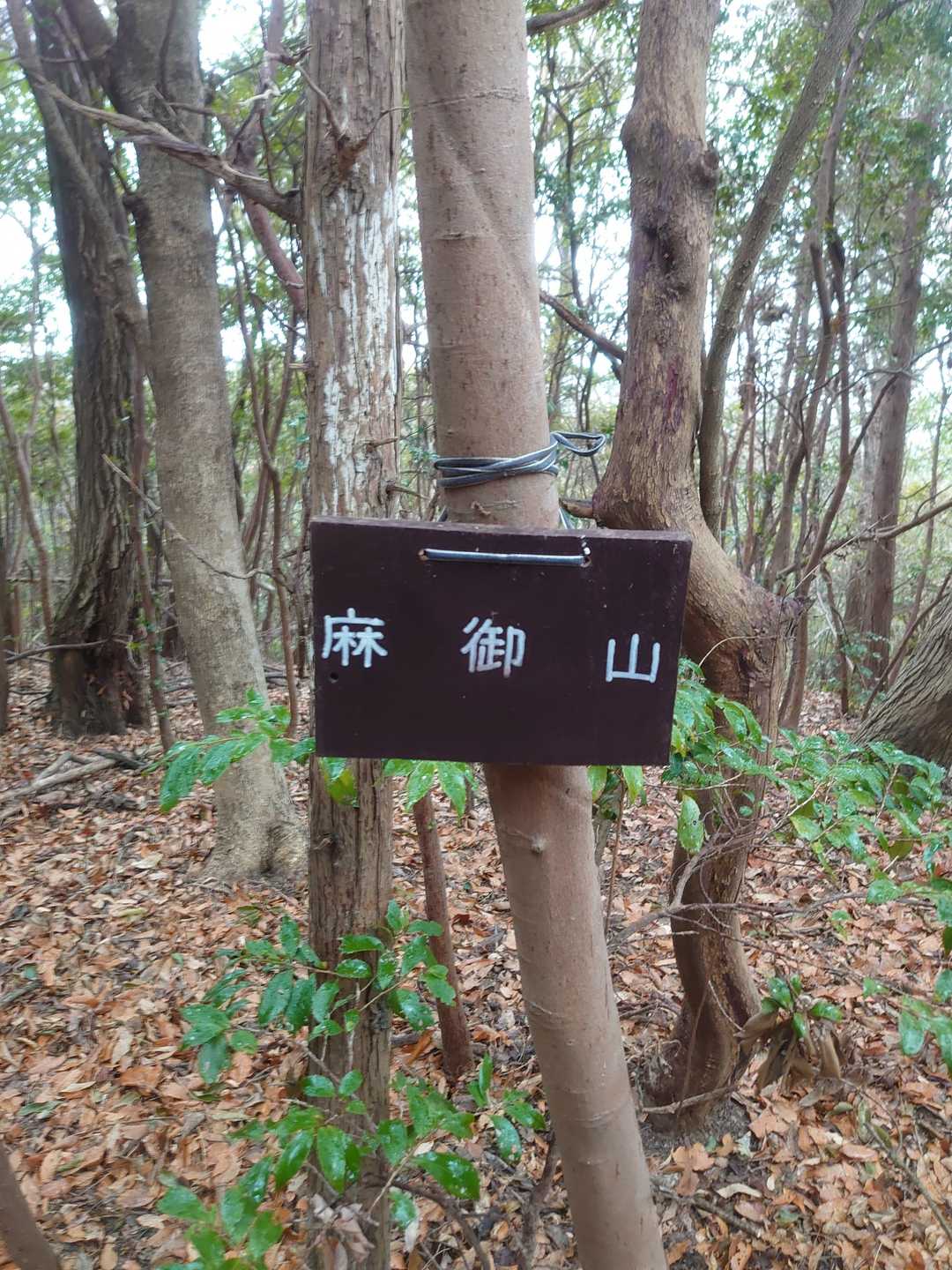 ここがラスト山かな？