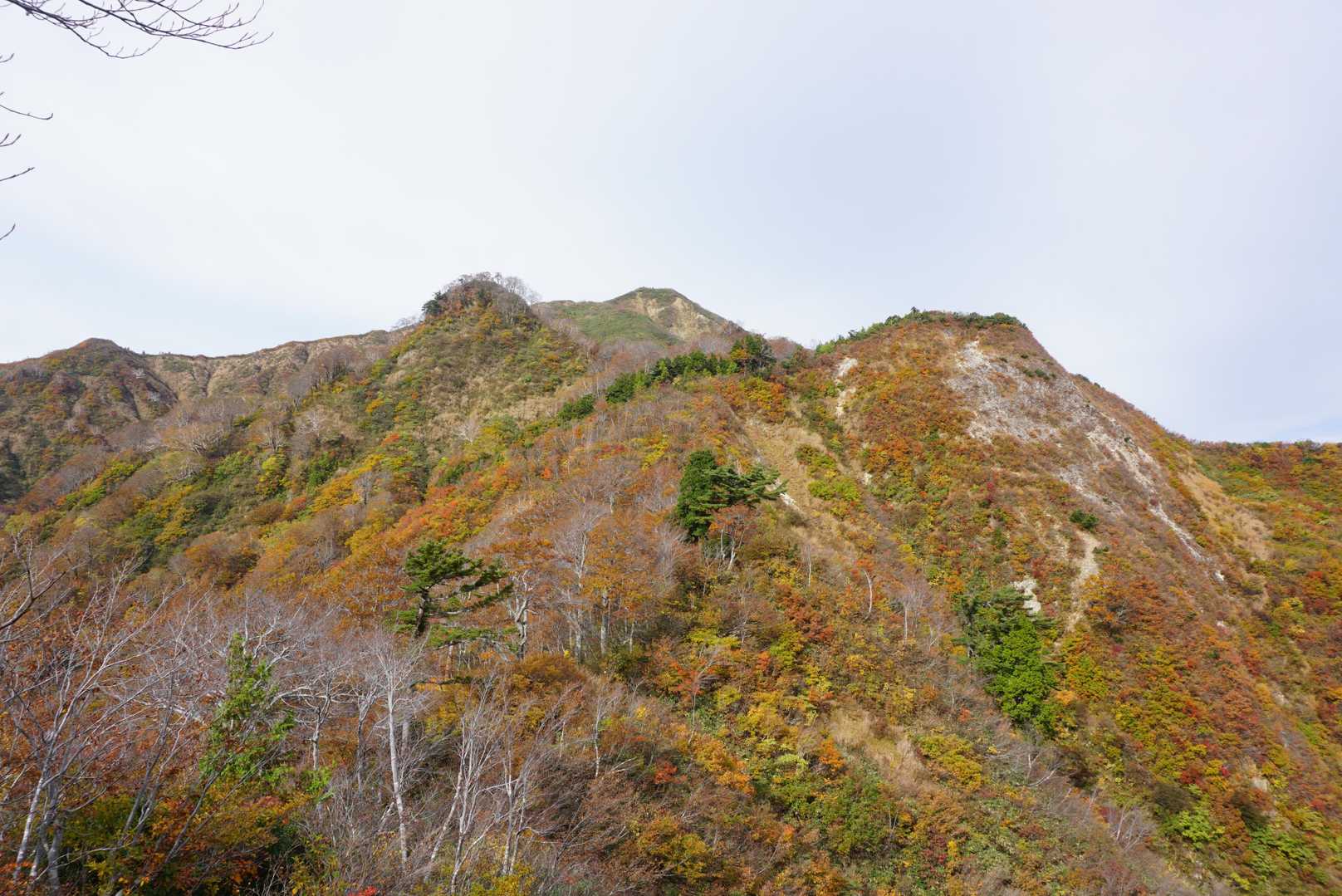 山頂方向