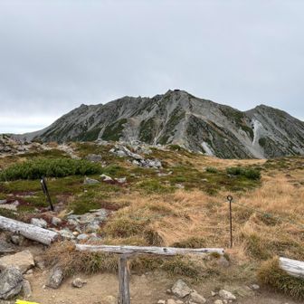 浄土山から見た雄山