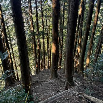 帰りは粟ヶ岳の裏側へ。
急な坂道です！