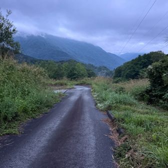 予想通り新穂高の駐車場は満車、仕方なく鍋平駐車場へ車を停める