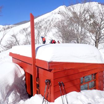 避難小屋はまだ埋没してませんでした。