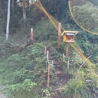 鷹取山に向かい、登り返し！
アップダウンが多く、辛いけど飽きさせないコースです😅
