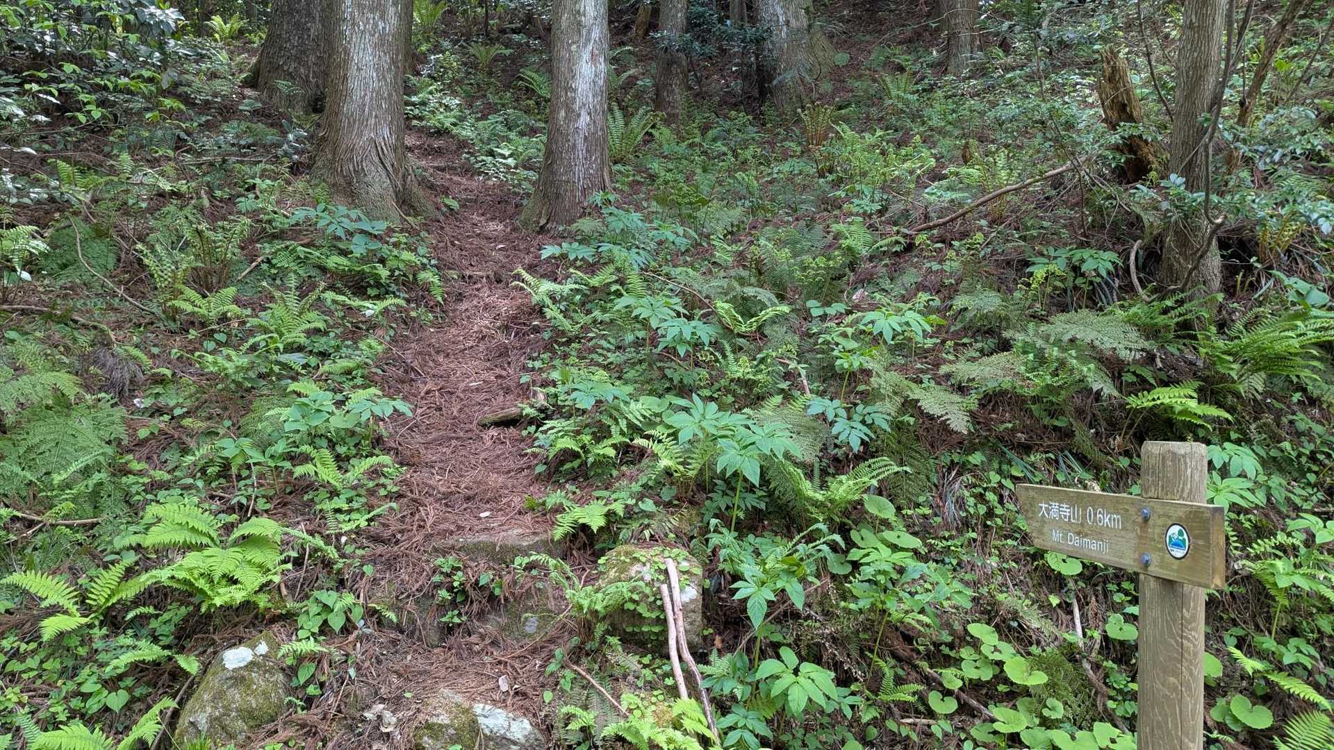 登山口
