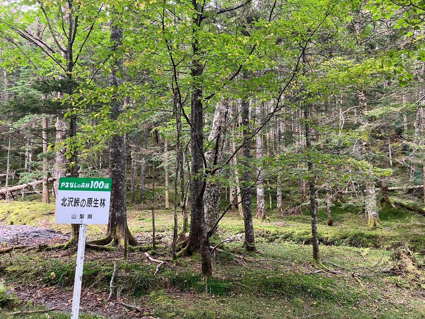 アサヨ峰（北沢峠）＜栗沢山＞の写真