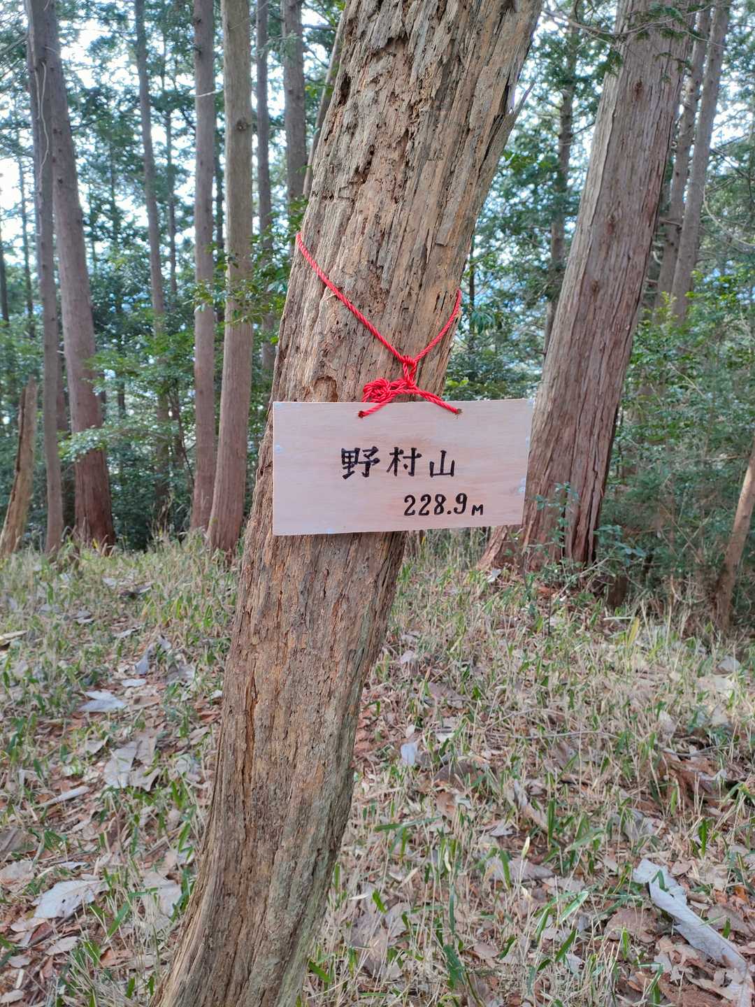 野村山とうちゃこ😑
赤い紐が野村萬斎風😑