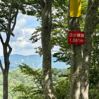 小朝頭サンチョ

ここでようやくハイカーとすれ違う
なんかホッとしますよね😮‍💨