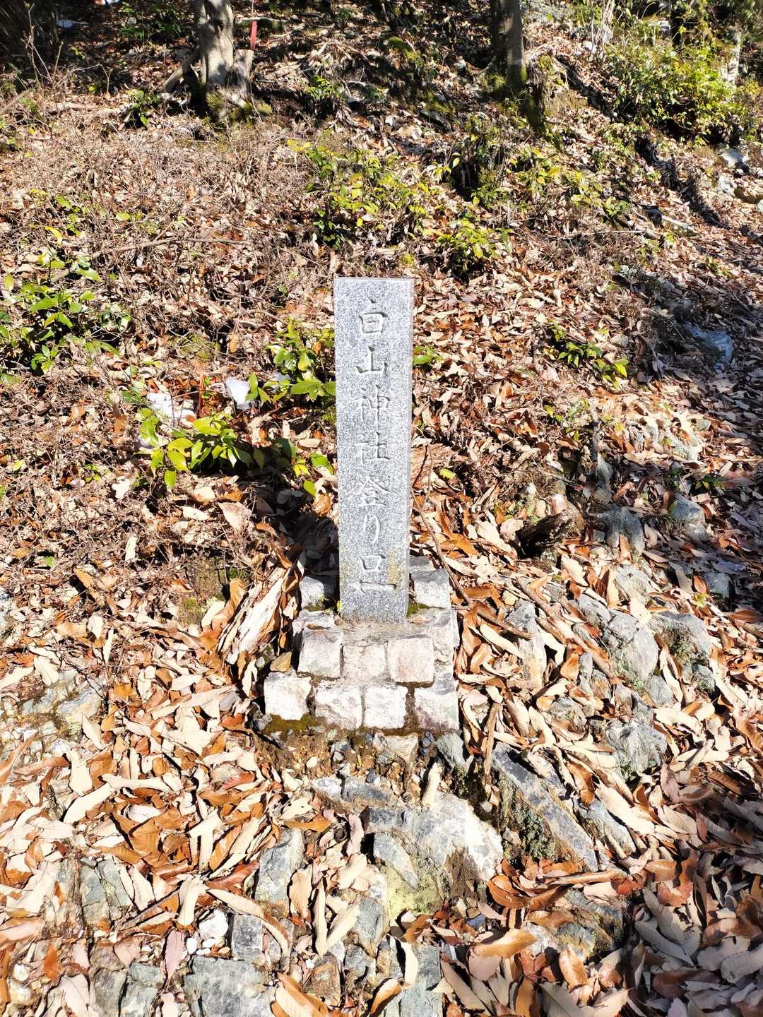 城台山 往復コースの写真
