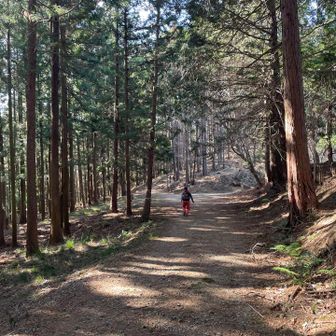 そそくさと先を歩いててふと気が付く

「ねぇ、棒は？？？」
「！！！！」
「…走れ！！！」
「ハイ！！！」

と走って金狐山の東屋まで戻って行く背中🤣