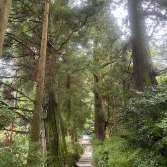 神社はやっぱり雰囲気が良い⛩️