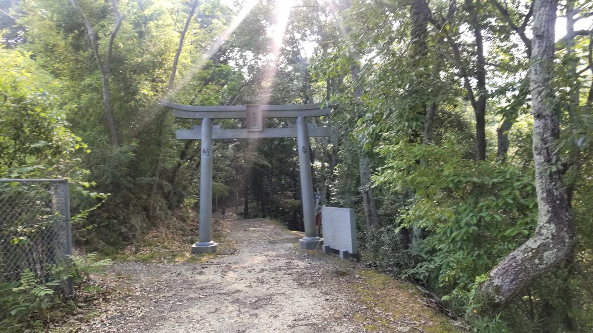 ここから、スタート