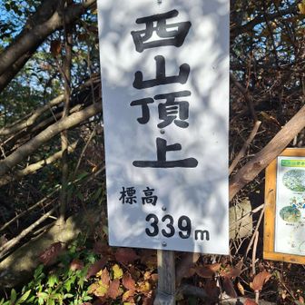 西山山頂