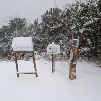 こっちも真っ白