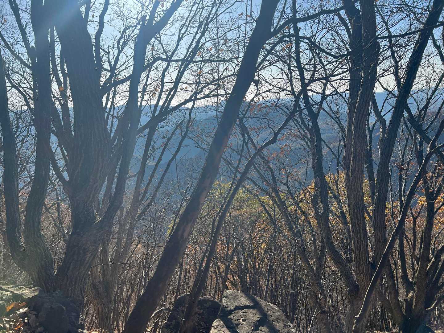 登っては、振り返って、登った自分を褒めて💕