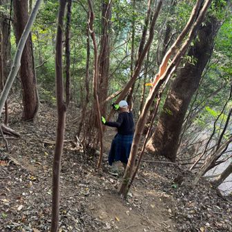 転げ落ちたら止まらなさそうな休憩のくだり