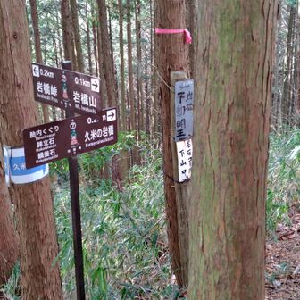 下山は胎内くぐりコースで下る