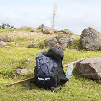 今日の相棒達、　登山口にあった竹の杖借りています！マムシがいたらどいてもらおうと・・・