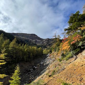 本沢温泉手前。
紅葉🍁が始まってます。