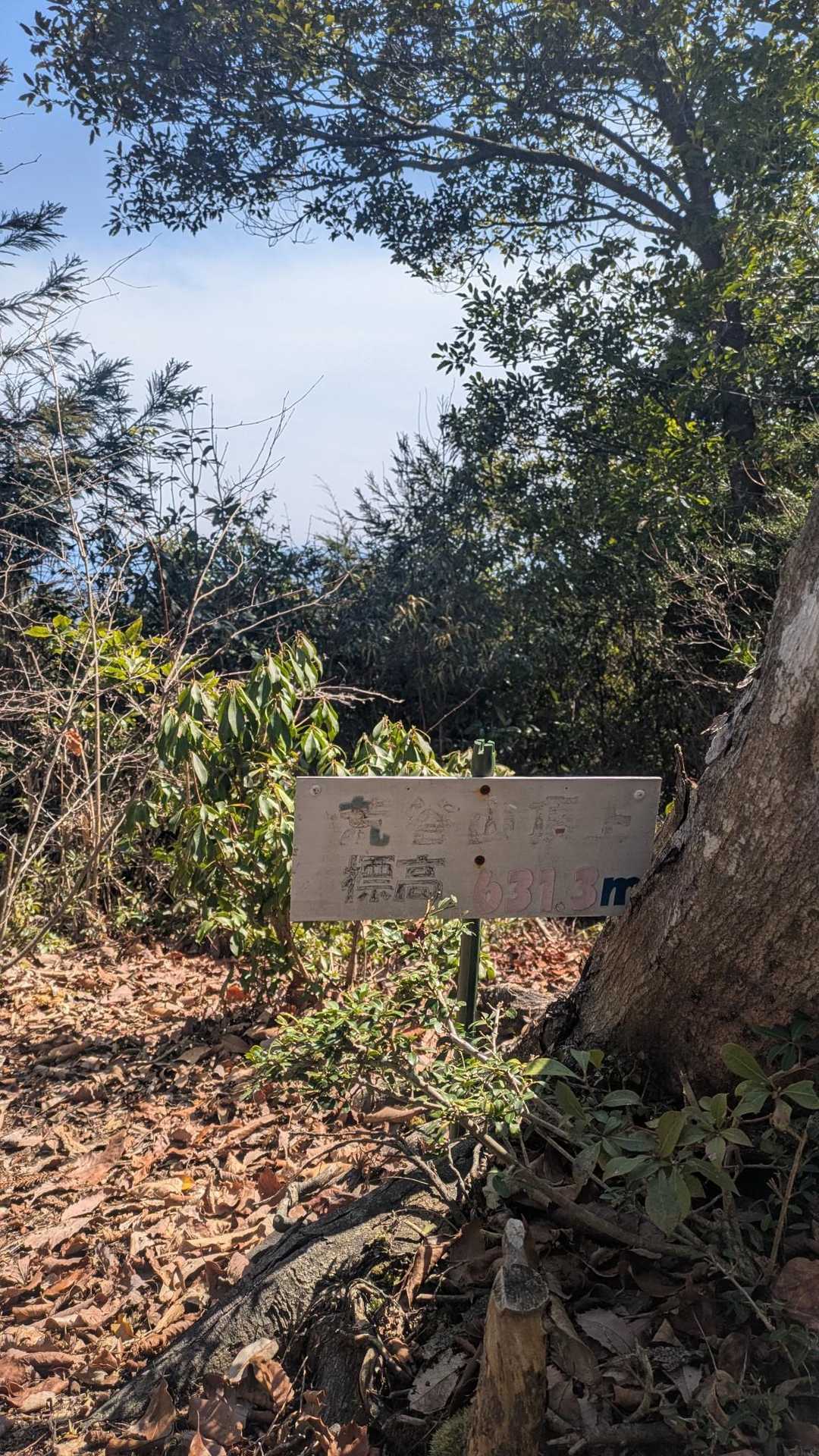 山頂にヘロヘロになりながら着きました。
