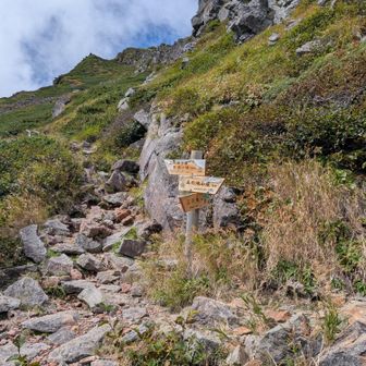 白竜避難小屋に戻ります。
ここの登りでバテバテ気味。