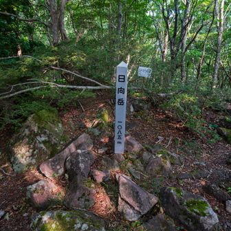 日向岳山頂。5年ほど前は、ここまでのルートが分からなかった。今は赤テープがしっかりしていて迷うことなし。