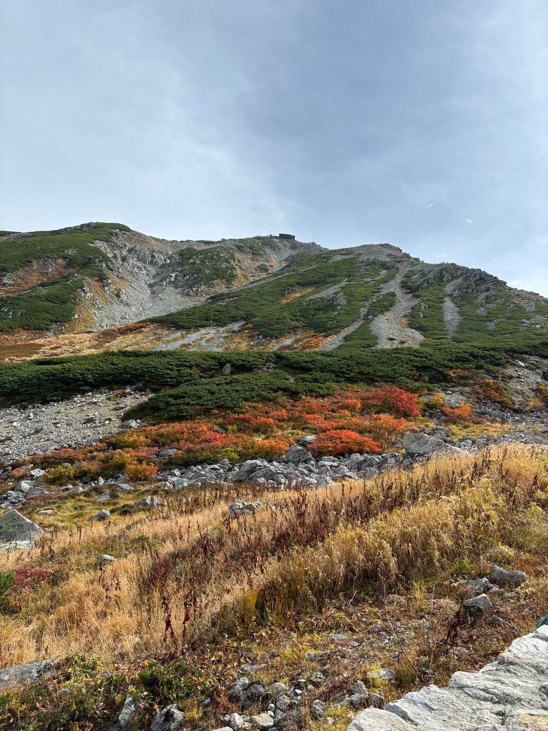 綺麗なんです🍁