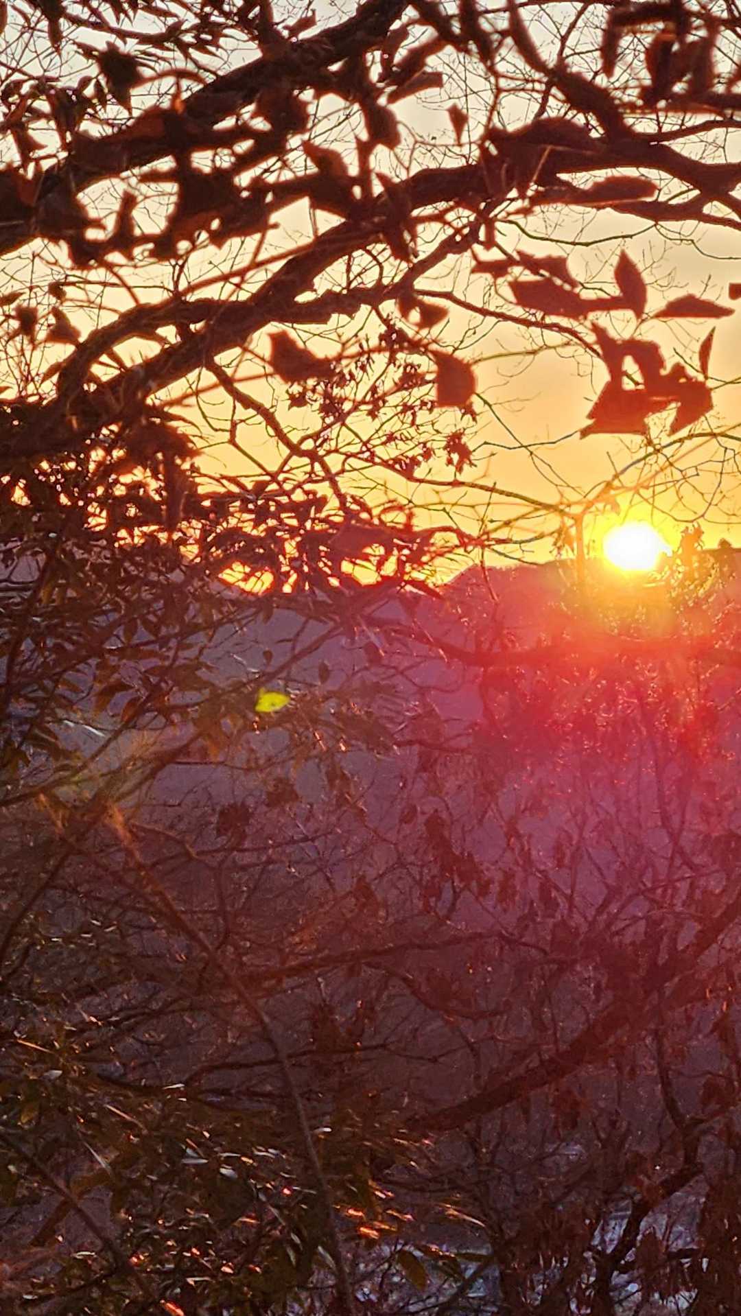 吾妻山入り口-吾妻山登山口-吾妻山-岩木戸山-大形山 往復コースの写真