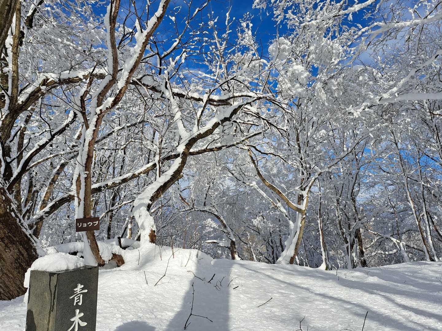 山頂