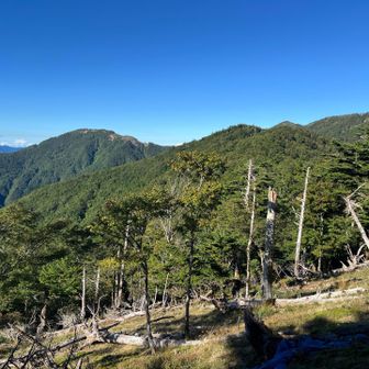 石立からの中東山の縦走路