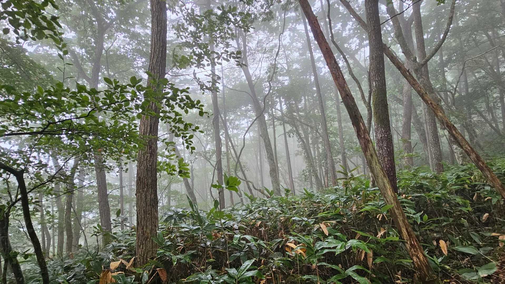 冷たい雨だね🥶