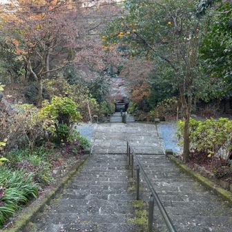 本殿に続く石段
調べたら1000段あるらしい