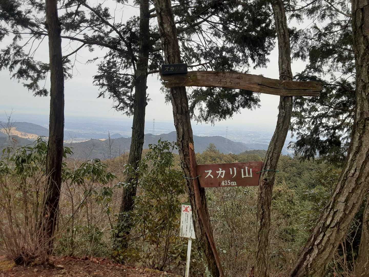 スカリ山