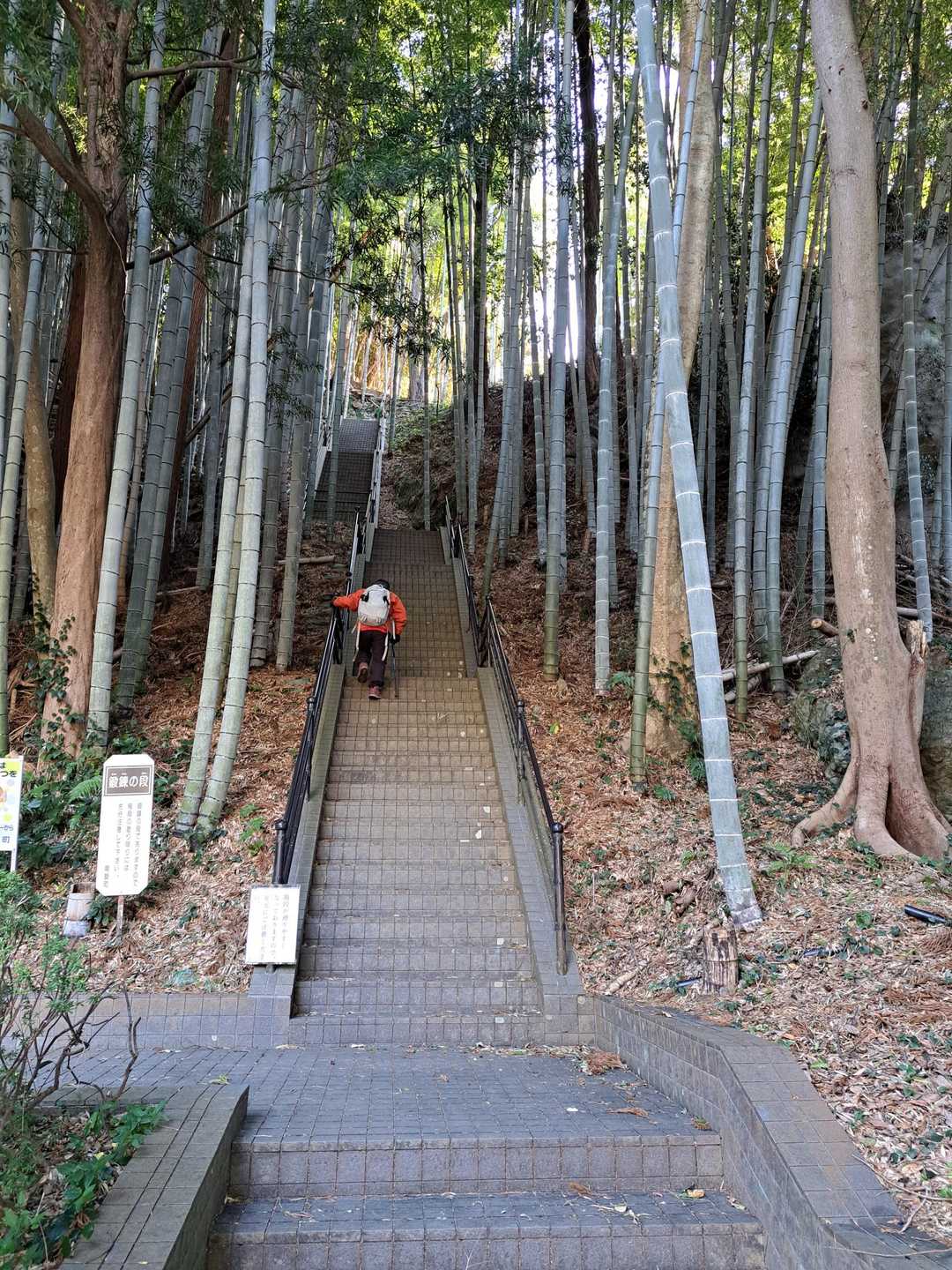 愛洲(🍨ではないの…)の館に🚙駐めさせていただきます
けっこう長い石段に息切れ😥