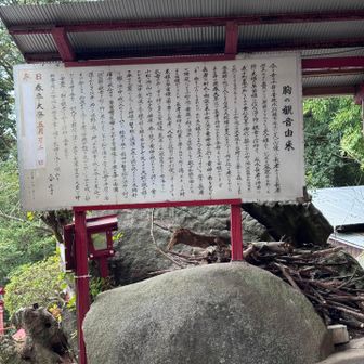 拡大してどうぞ