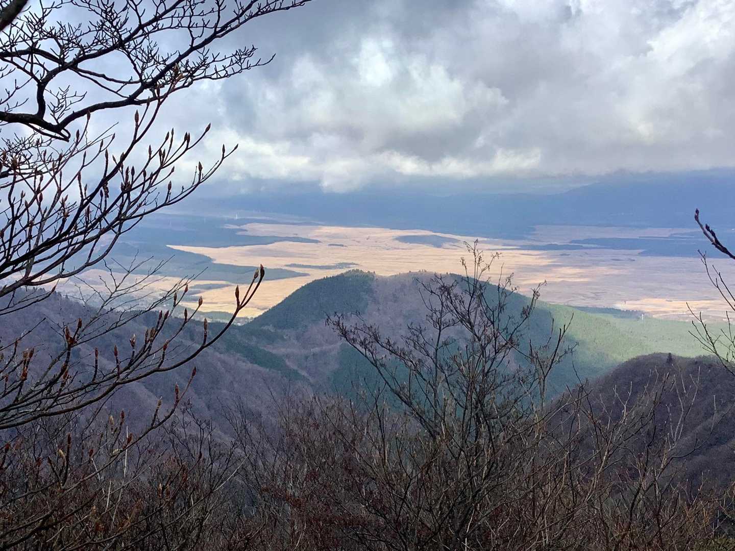 東富士演習場🌾🌾
