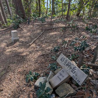 越生駒ヶ岳到着 ここまで結構な急斜面でした💦